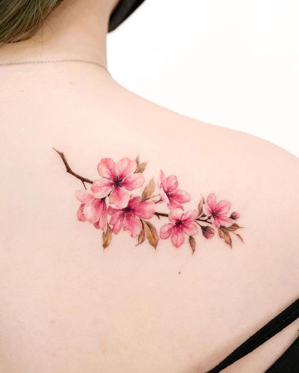 Tatuaggio della scapola con fiori di ciliegio di @donghwa_tattoo