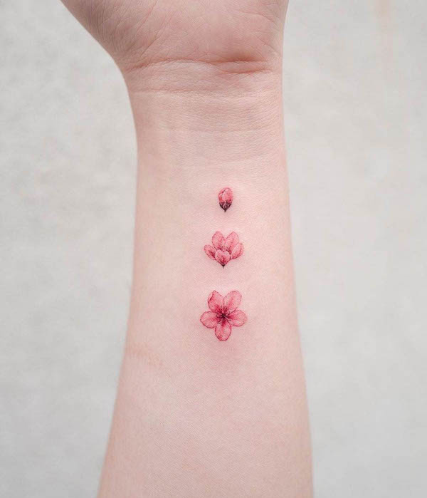Tatuaggio della crescita con fiori di ciliegio di @donghwa_tattoo