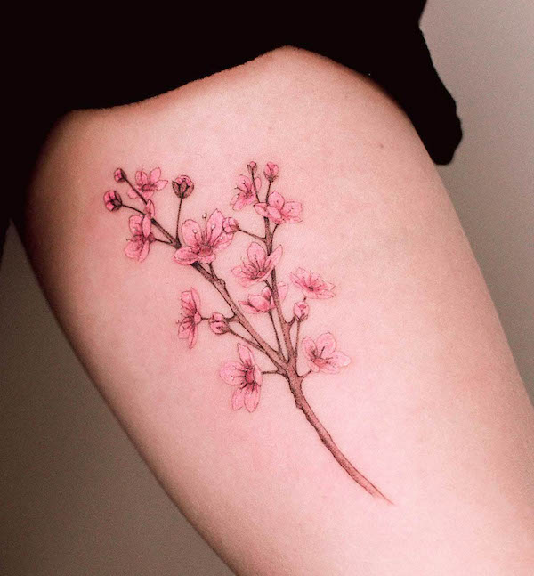 Tatuaggio di ciliegio in fiore di @marcelabadolattoo
