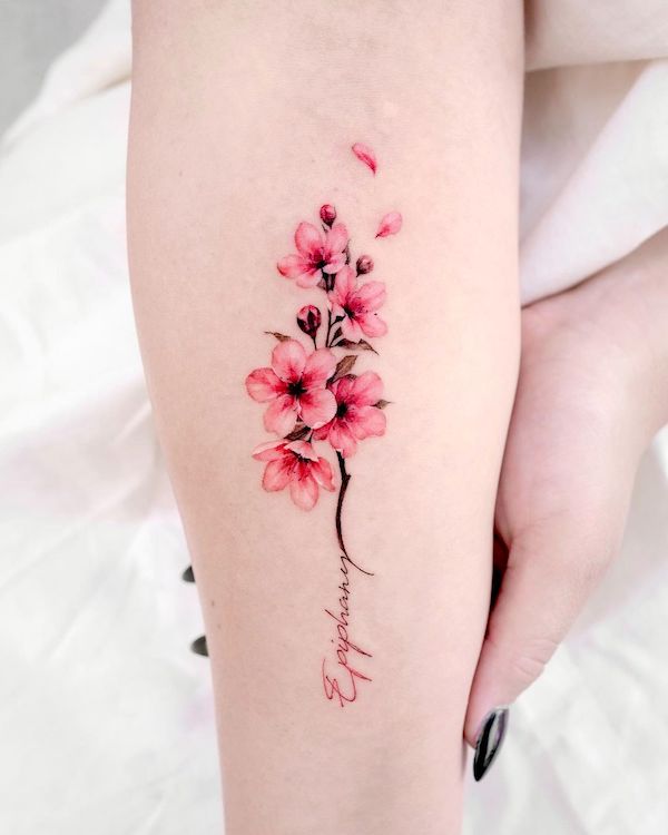 Tatuaggio di una parola con fiori di ciliegio di @donghwa_tattoo