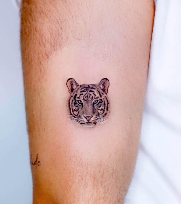 Piccolo tatuaggio realistico di tigre di @erikobi_tattoo