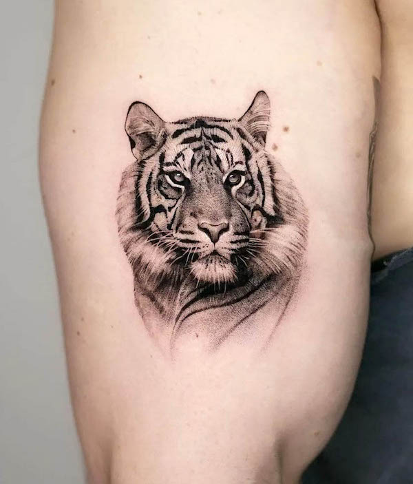 Tatuaggio realistico di tigre di @thommesen_ink