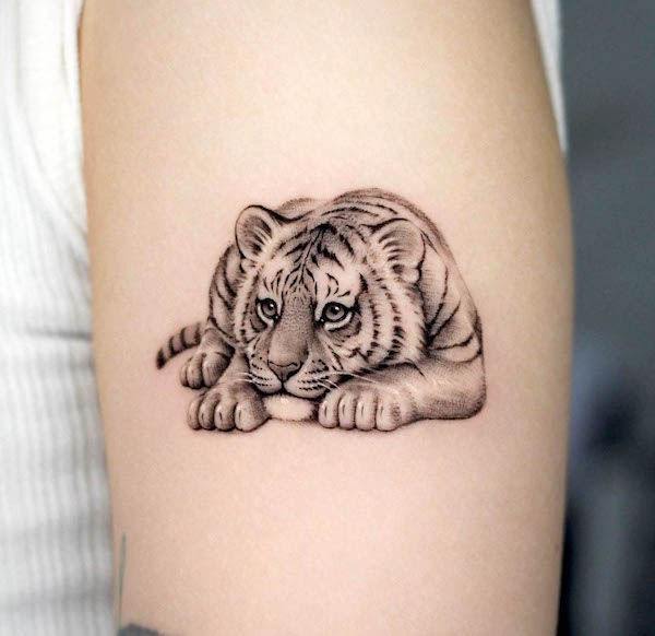 Il tatuaggio della tigre che riposa di @tattooist_dh