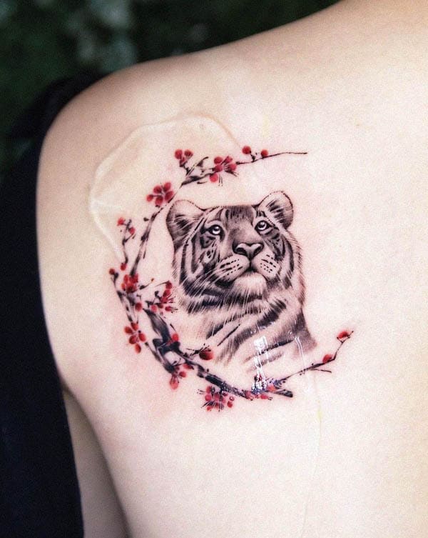 Tatuaggio con tigre e fiori di prugna sulla schiena di @buckk_tattoo