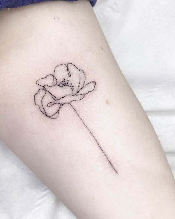 Tatuaggio con papavero a linea singola di @tess_divine_ink