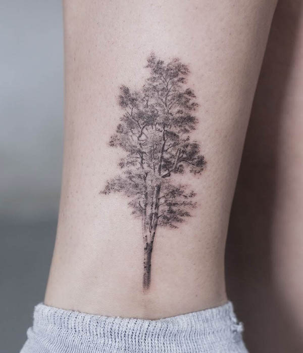 Tatuaggio di betulla di @graffitto