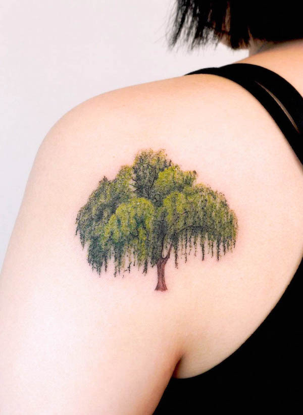 Stupendo tatuaggio realistico del salice di @yous_tattoo