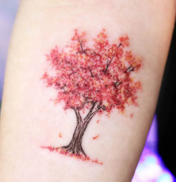 Tatuaggio dell'acero di @tattooist_namoo