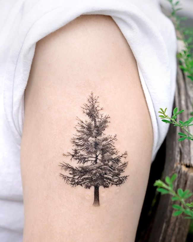 Tatuaggio di un albero da @choiyun_tattoo