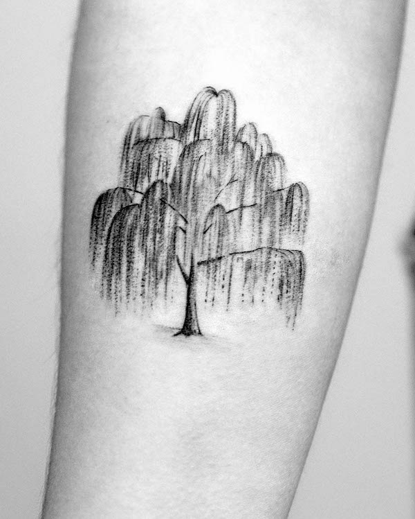 Tatuaggio di salice di @tattoobymeg