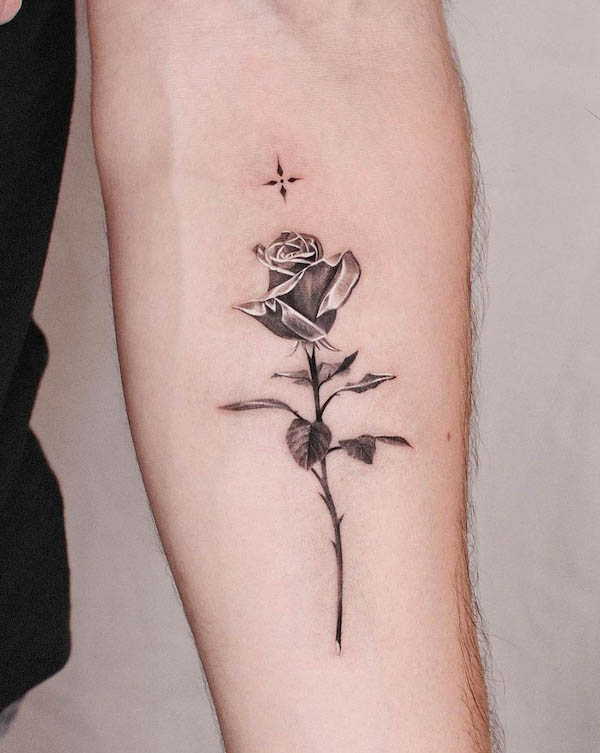 Tatuaggio Microrealismo di rose e stelle di @jku_tattoo