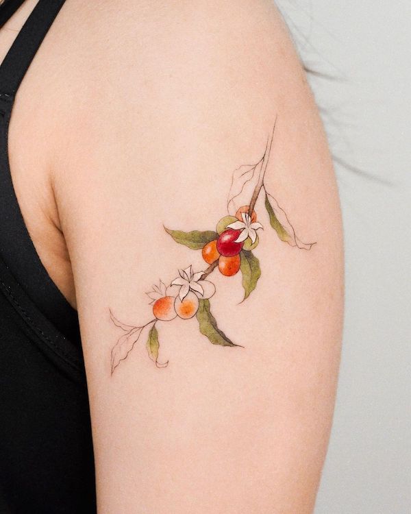 Bellissimo tatuaggio di pianta di caffè di @zihong_tattoo