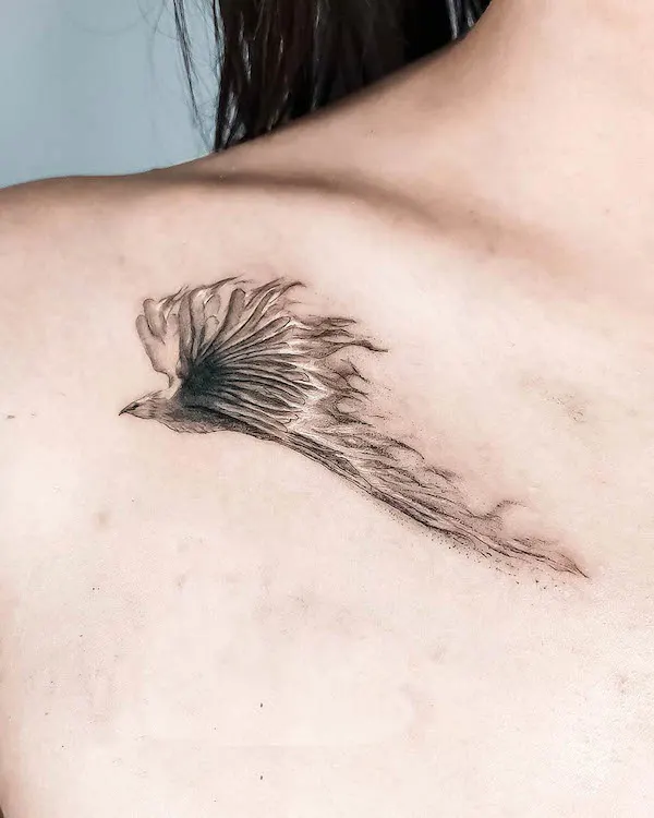 Tatuaggio Phoenix collarbone di @nikoambros