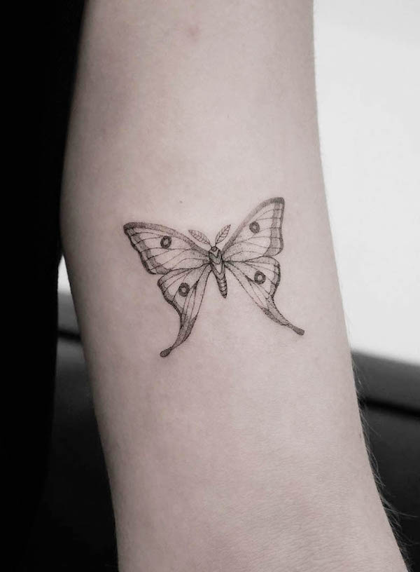 Tatuaggio semplice a linea fine di falena di @beccink