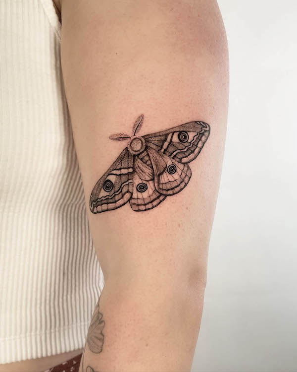 Tatuaggio di falena imperatore di @lauren__tattoo