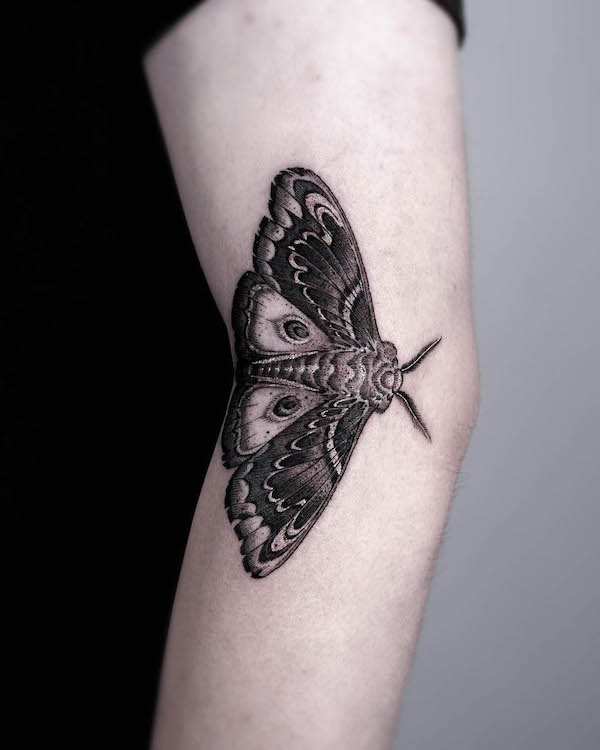 Tatuaggio di Cecropia falena sul gomito di @seoulinktattoo
