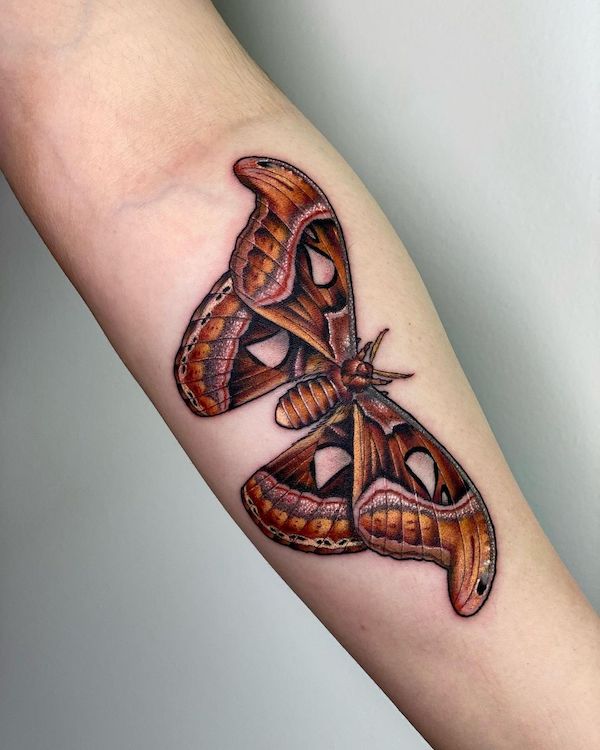Realismo Atlante falena avambraccio tatuaggio da @catherineterlop