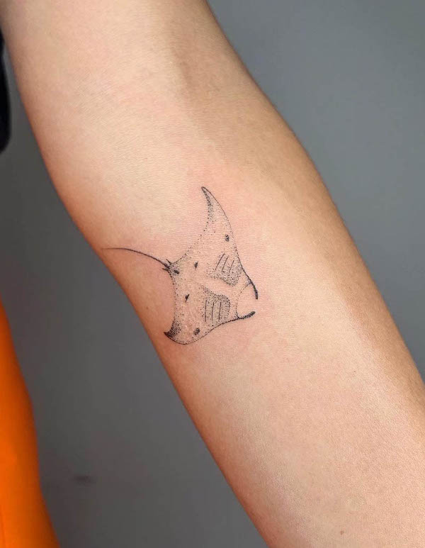 Tatuaggio semplice a linea fine di manta da @tattoo.manu