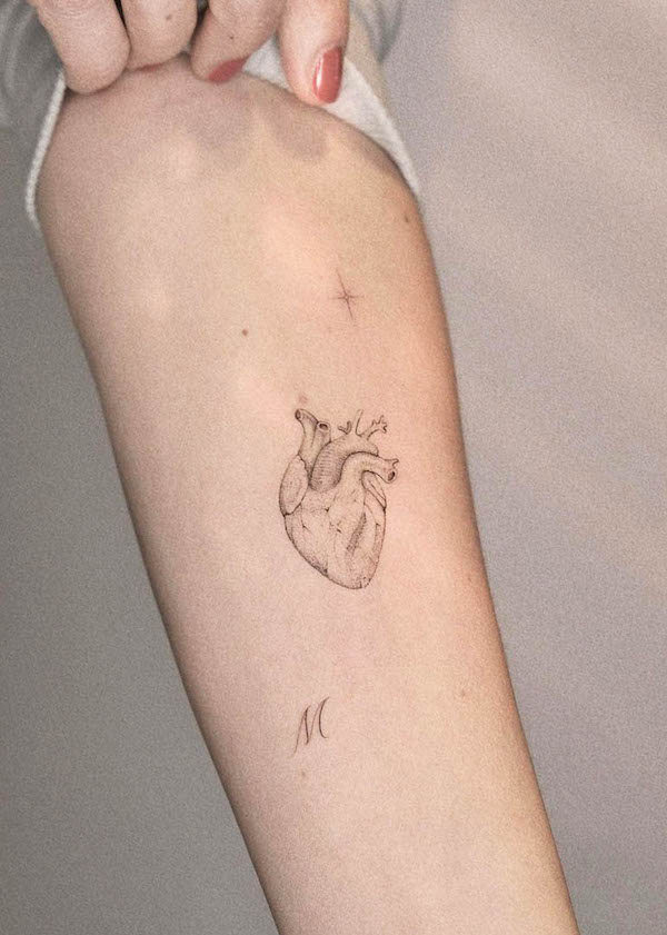 Piccolo cuore anatomico tatuato sull'avambraccio da @key__zed