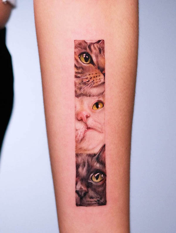 Tatuaggio di tre gatti sull'avambraccio di @andreeconejo