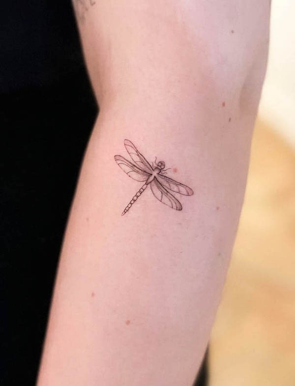 Tatuaggio di una piccola libellula sul gomito di @lukasemmanuel
