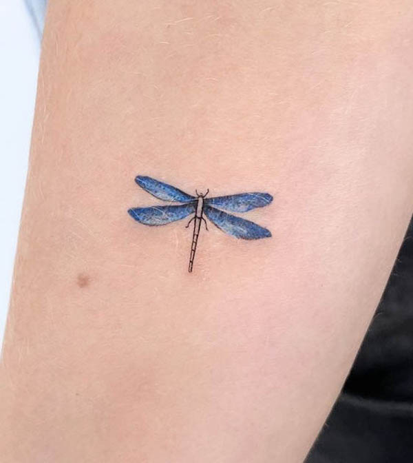 Tatuaggio di una piccola libellula blu di @tattooist_mora