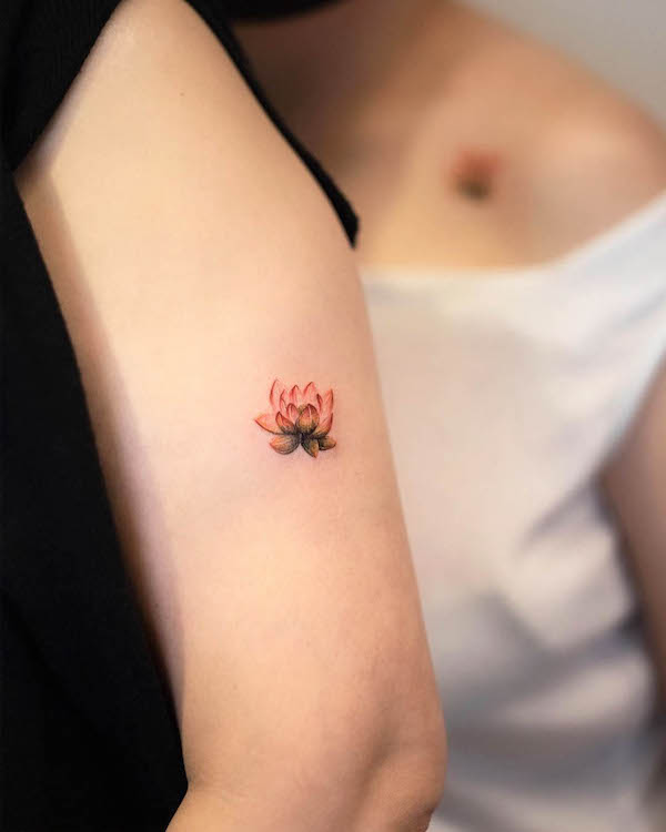 Piccoli tatuaggi di loto di @handitrip