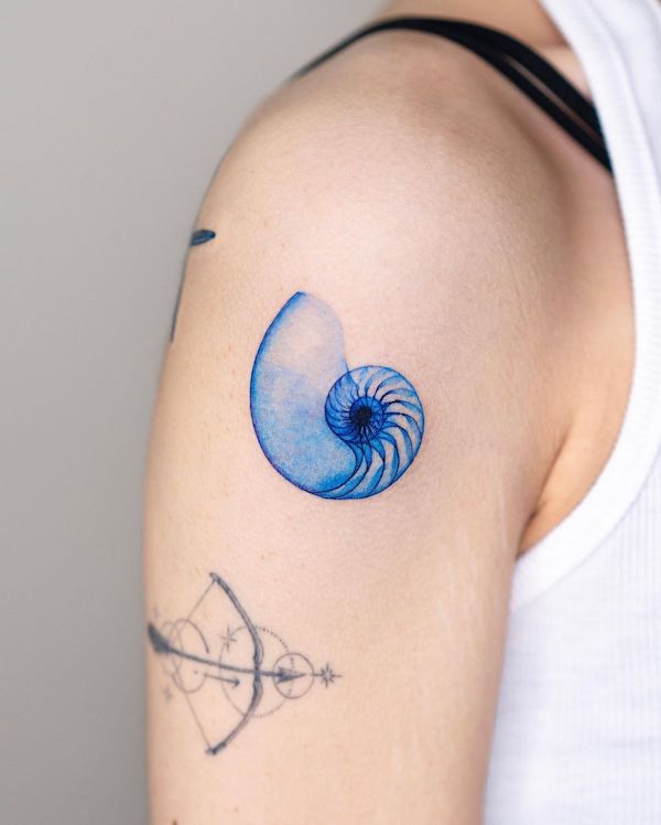 Tatuaggio di conchiglia di gasteropode di @pokhy_tattoo