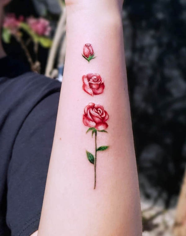 Crescita di una rosa di @glitterpoops