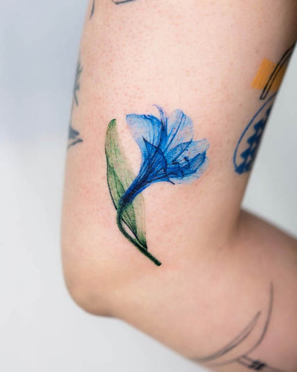 Giglio blu tatuato sul gomito da @pokhy_tattoo