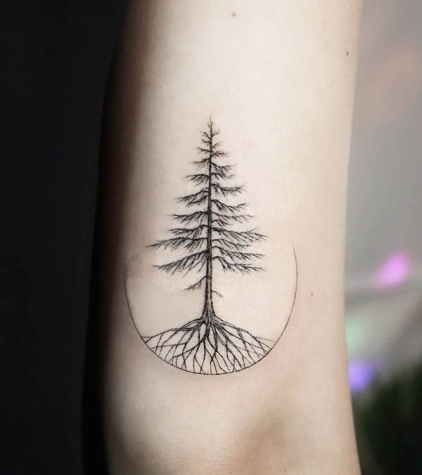 Tatuaggio di pino sopra il gomito di @tattooist_namoo
