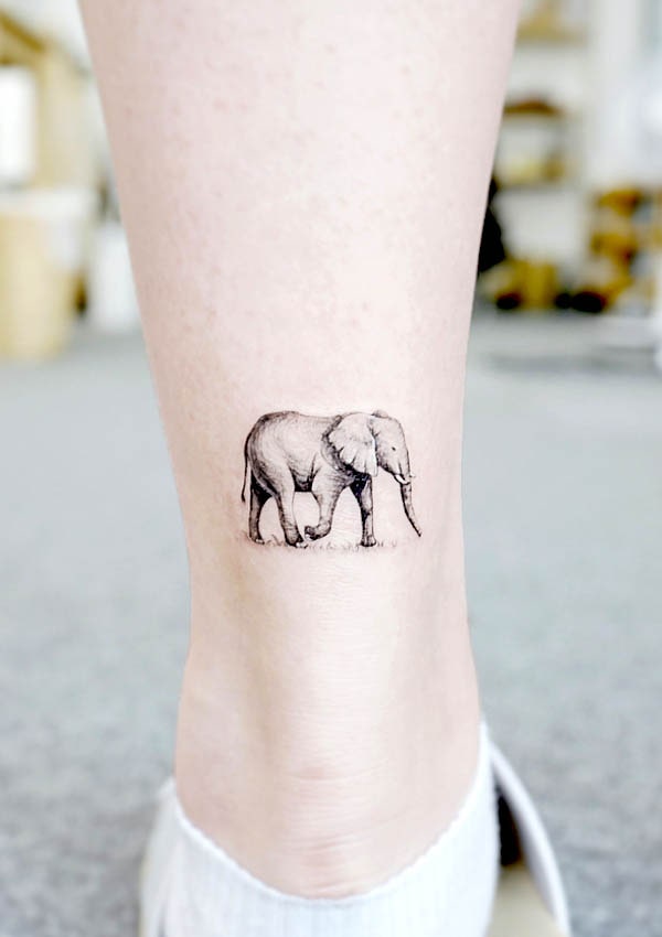 Piccolo elefante realistico sopra il tallone di @tattooist_banul