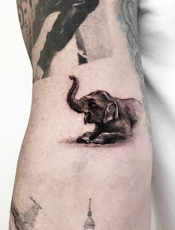 Adorabile elefante tatuato da @goldy_z