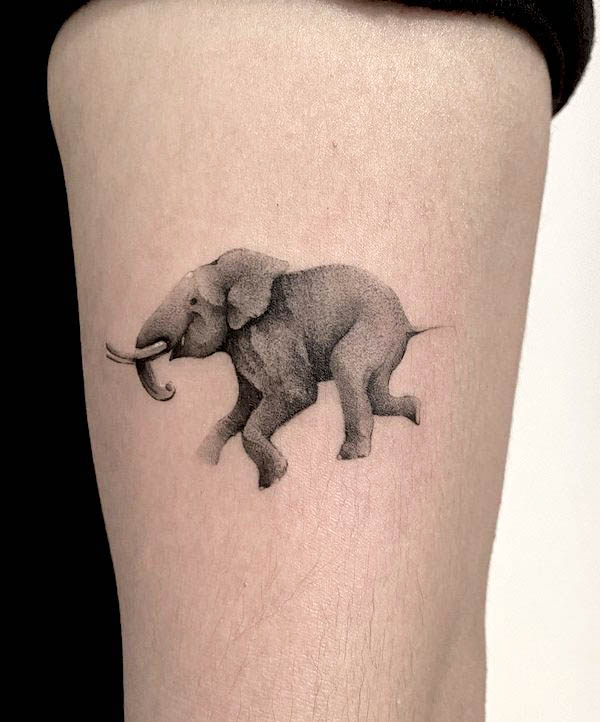 tatuaggio elefante danzante realismo di @jason_tattoo.666