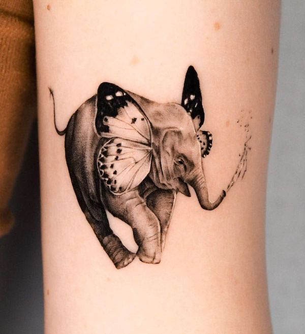 Tatuaggio elefante farfalla di @redhaare