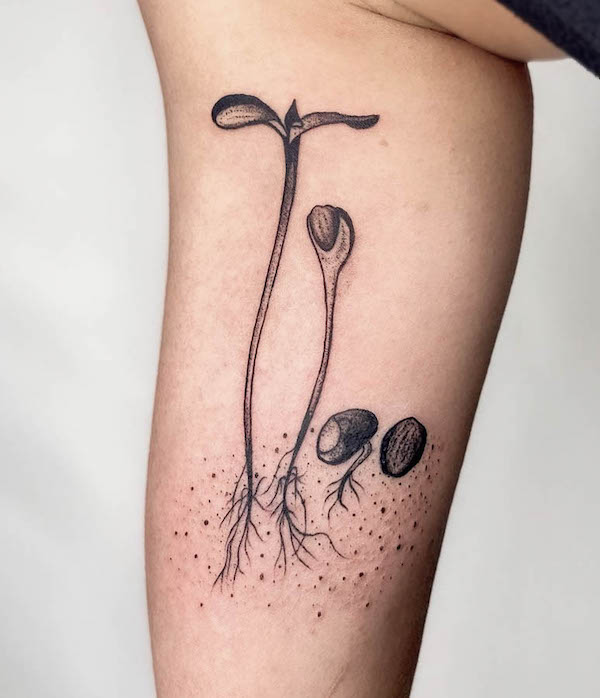 Tatuaggio di semi sulla crescita di @karpa.tattoo