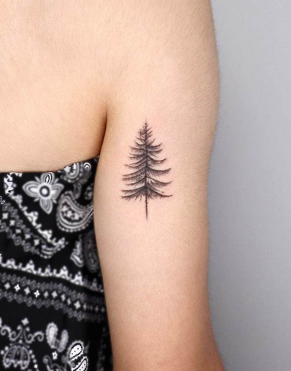 Semplice tatuaggio con simbolo di crescita dell'albero di @tattooist_bear