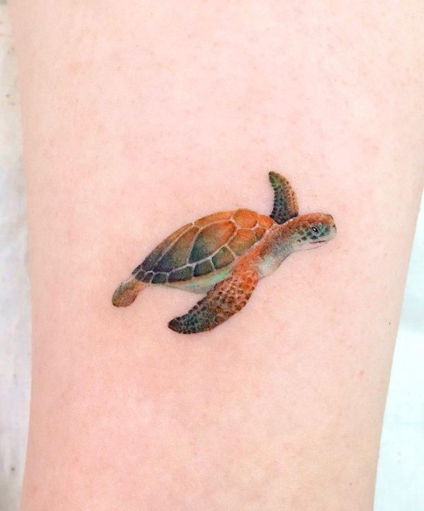 Semplice tatuaggio colorato di tartaruga marina di @eunyutattoo