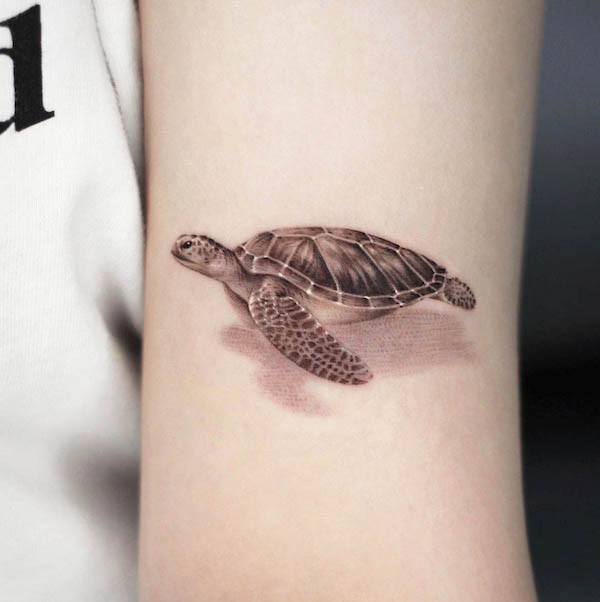 Tatuaggio di tartaruga in realismo semplice di @tattooist_dh