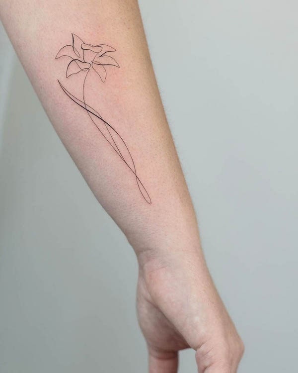 Tatuaggio astratto a linee sottili con narciso di @akkurat_tattoo
