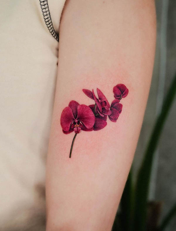 Tatuaggio creativo di @frommay_tat per un nuovo inizio