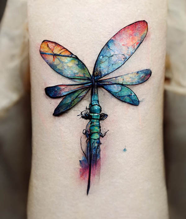 Tatuaggio libellula acquerello 1
