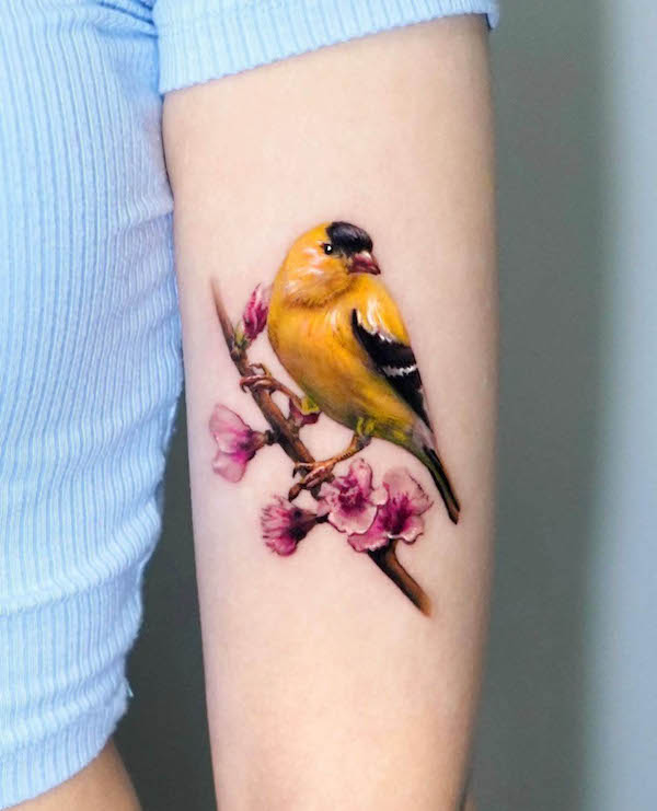 Bellissimo e intricato tatuaggio di uccello di @harry_color