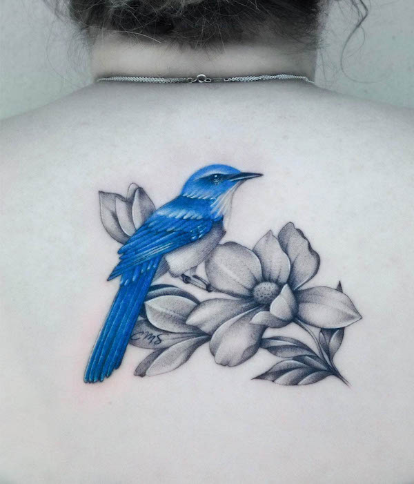 Tatuaggio Bluebird sulla schiena di @ms_aleen