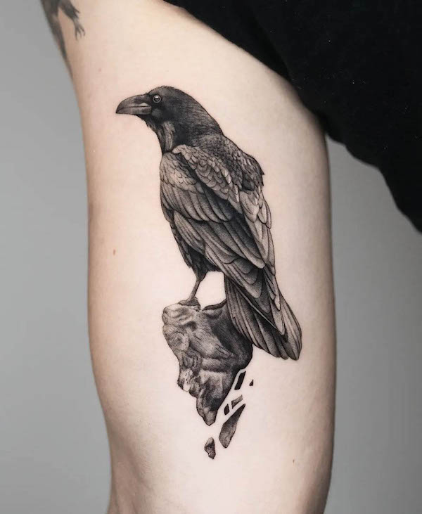 Corvo in piedi sulla roccia di @thommesen_ink