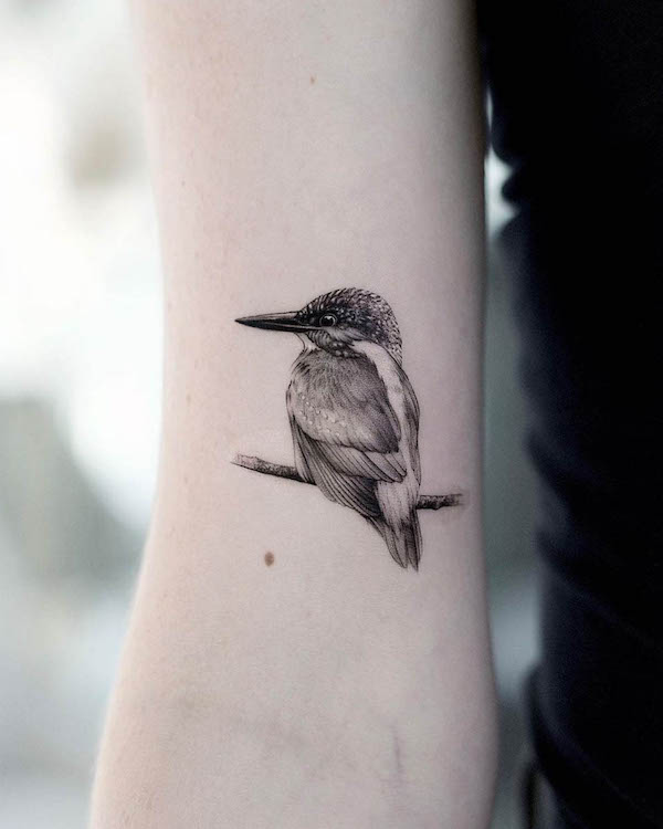 Tatuaggio con martin pescatore in realismo nero e grigio di @bartektattoo