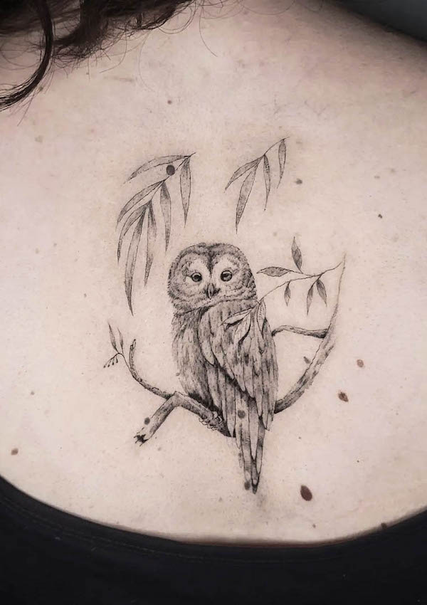 Gufo dalla linea sottile sulla schiena di @nus.tattoo