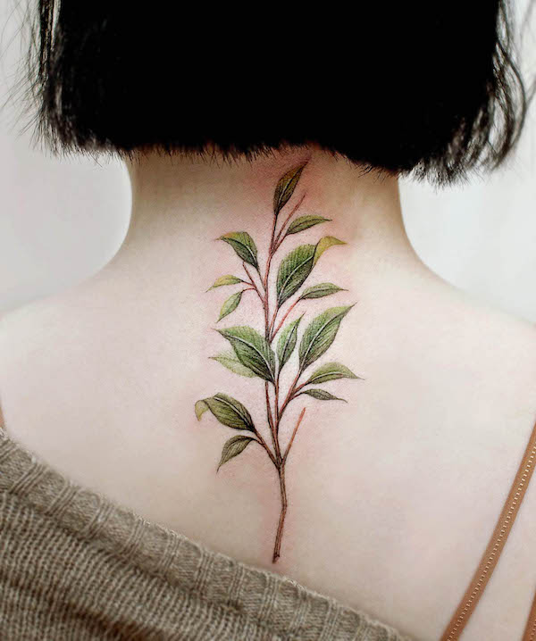 Tatuaggio della schiena con foglie di @ch.tattoo.ahn