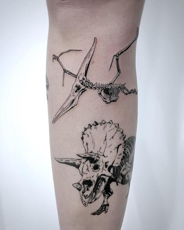 Tatuaggio dettagliato dello scheletro di Triceratopo e Pterodattilo di @arri_tattoo