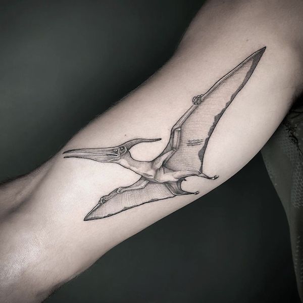 Intricato tatuaggio di pterodattilo di @henjafin